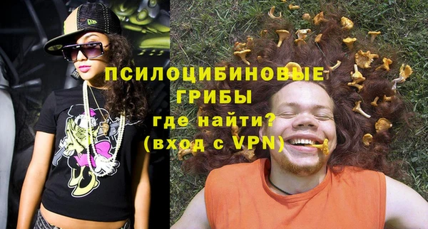 ГАЛЛЮЦИНОГЕННЫЕ ГРИБЫ Баксан